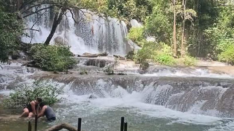 naturaleza